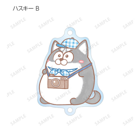 『おそ松さん 松⽝』トレーディング Ani-Art aqua label つながるアクリルキーホルダー (全12種)BOX