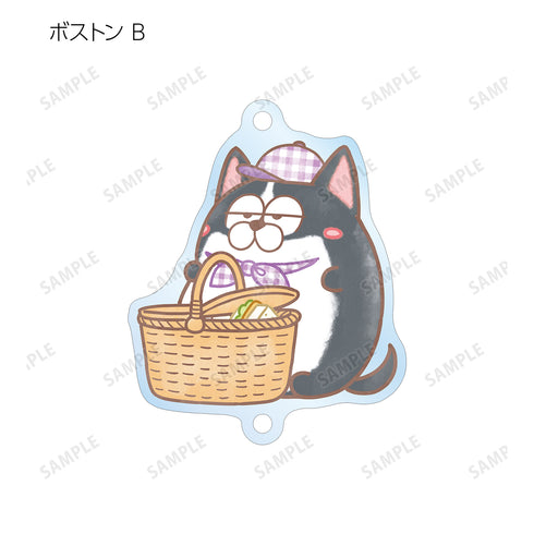 『おそ松さん 松⽝』トレーディング Ani-Art aqua label つながるアクリルキーホルダー (全12種)BOX