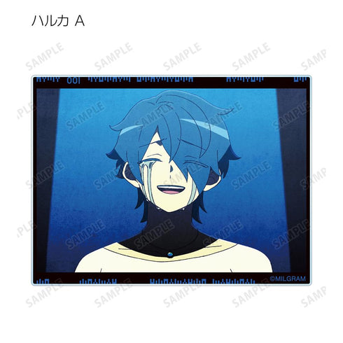 『MILGRAM -ミルグラム-』トレーディング MV アクリルカード ハルカ 『弱肉共食』(単位/BOX)【202601再販】