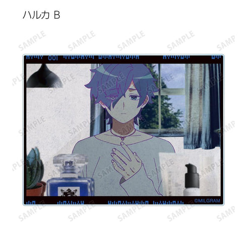 『MILGRAM -ミルグラム-』トレーディング MV アクリルカード ハルカ 『弱肉共食』(単位/BOX)【202608再販】