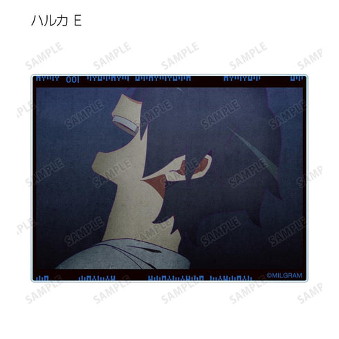 『MILGRAM -ミルグラム-』トレーディング MV アクリルカード ハルカ 『弱肉共食』(単位/BOX)【202601再販】