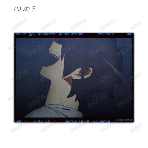 『MILGRAM -ミルグラム-』トレーディング MV アクリルカード ハルカ 『弱肉共食』(単位/BOX)【202608再販】
