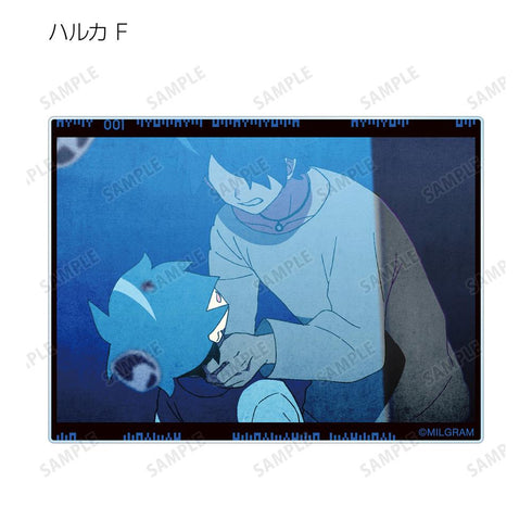 『MILGRAM -ミルグラム-』トレーディング MV アクリルカード ハルカ 『弱肉共食』(単位/BOX)【202601再販】