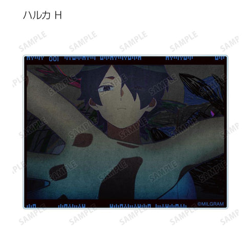 『MILGRAM -ミルグラム-』トレーディング MV アクリルカード ハルカ 『弱肉共食』(単位/BOX)【202608再販】