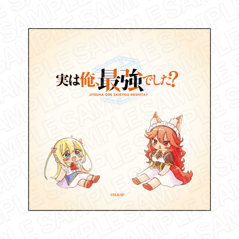 『実は俺、最強でした?』マイクロファイバー B