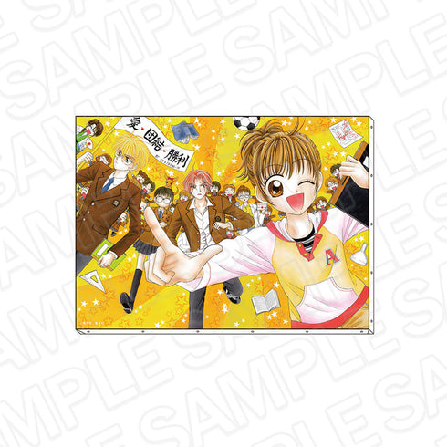 『りぼん70周年記念POP UP SHOP』キャンバスアート 青春してるかい!