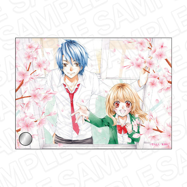 "Hiyokoi" Acrylic Plate: Ribbon 70th Anniversary Cafe