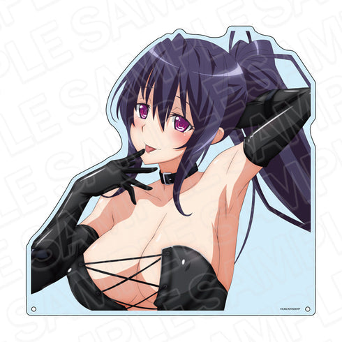 High School DxD HERO' 超大模切亚克力板 - Akeno Himejima Bondage ver.
