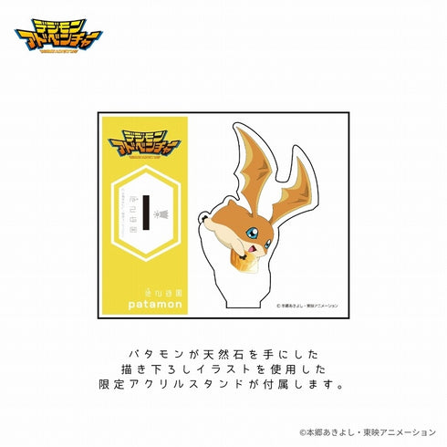 "Digimon Adventure" Natural Stone Necklace & Patamon Original Art Acrylic Stand Set