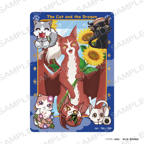 『猫と竜』硬質カードケース&ホロカードセット【集合】