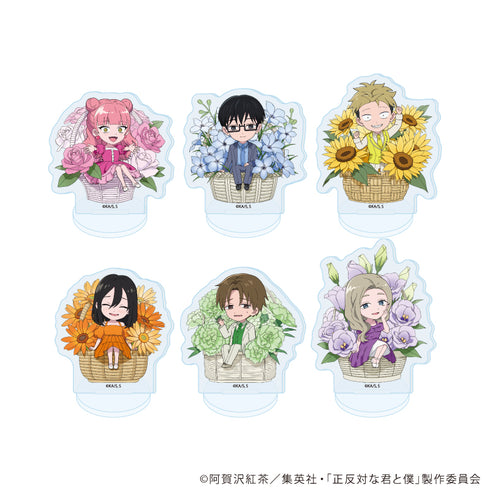 『正反対な君と僕』アクリルぷちスタンド02/花ver. コンプリートセット(全6種)(ミニキャライラスト)
