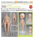 『Harmonia bloom』blooming doll (Body)【202606再販】