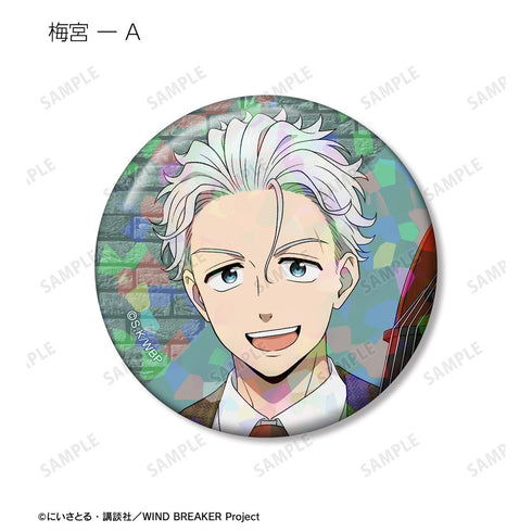 "WIND BREAKER" Original Art: Jazz Ver. Trading Hologram Pin Badges (Sold by the box)