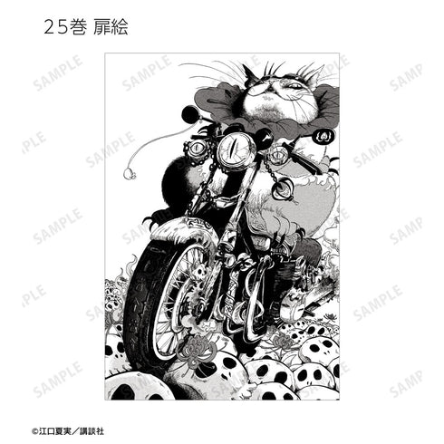 《鬼燈的冷徹》收藏明信片2張組 ver.B(單位/盒)