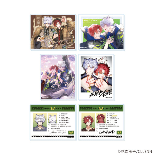 《两人独处的Melty Charm》亚克力卡01/全套(共6种)(官方及全新绘制插画)