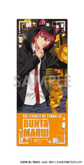 『新テニスの王子様』プレシャスショットコレクション-王子様達の一年間-【BOX】