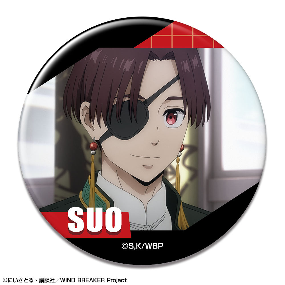 WIND BREAKER』缶バッジ デザイン13(蘇枋隼飛/D)【202410再販