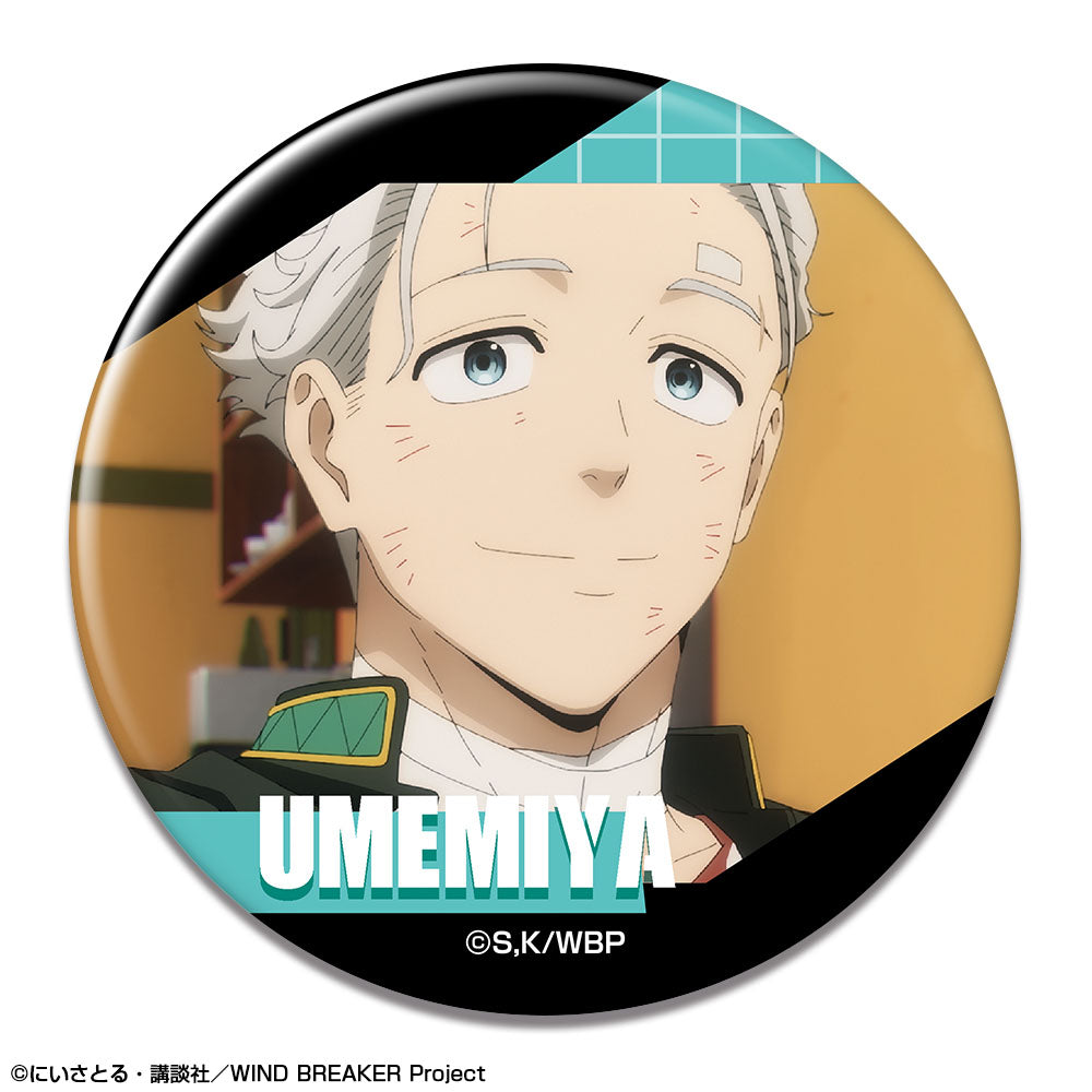 WIND BREAKER』缶バッジ デザイン21(梅宮一/E)【202507再販】 – Anime