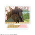 "The Four Seasons Substitutes: Spring Dance" Mini Acrylic Stand, Design 17 (Hana-Ha Hinagiku & Hime-Taka Sakura)