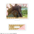 "The Four Seasons Substitutes: Spring Dance" Mini Acrylic Stand, Design 17 (Hana-Ha Hinagiku & Hime-Taka Sakura)