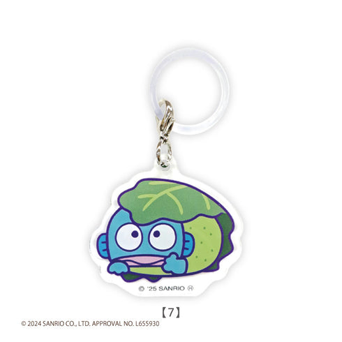 『サンリオキャラクターズ』ハンギョドン トレーディング めじるしチャーム BOX