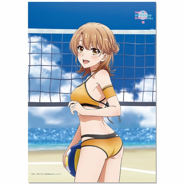 『やはり俺の青春ラブコメはまちがっている。完』【描き下ろし】B2タペストリー いろは(ビーチバレー)【202605再販】