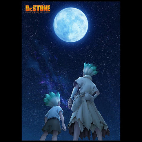 『Dr.STONE』トートバッグ(ティザービジュアル)