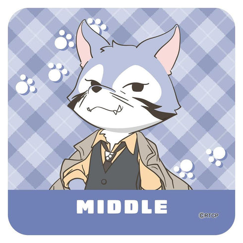 『あらいぐまカルカル団』ハンドタオル(ミドル)