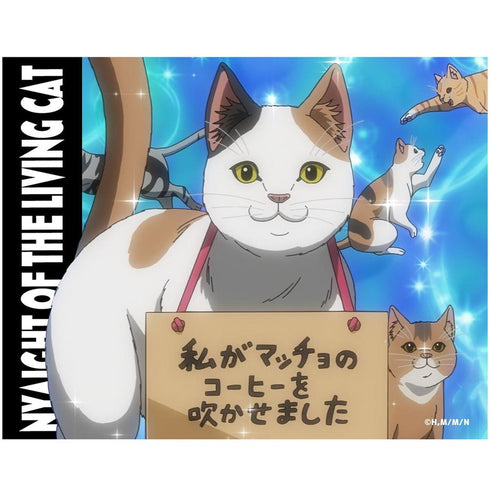 『ニャイト・オブ・ザ・リビングキャット』Tシャツ 「私がマッチョのコーヒーを吹かせました」