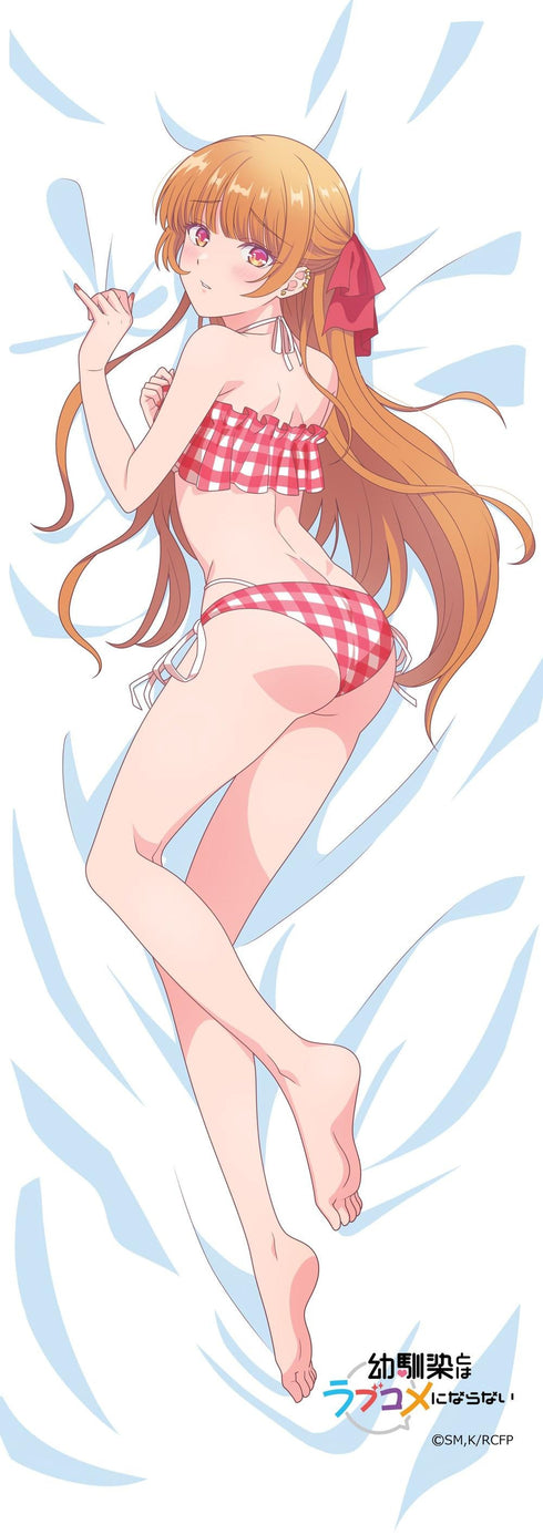 『幼馴染とはラブコメにならない』【描き下ろし】ミニタペストリー 火威灯