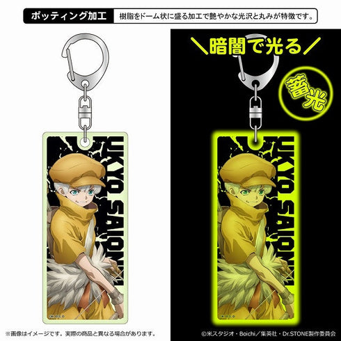 『Dr.STONE』蓄光アクリルキーホルダー/西園寺羽京