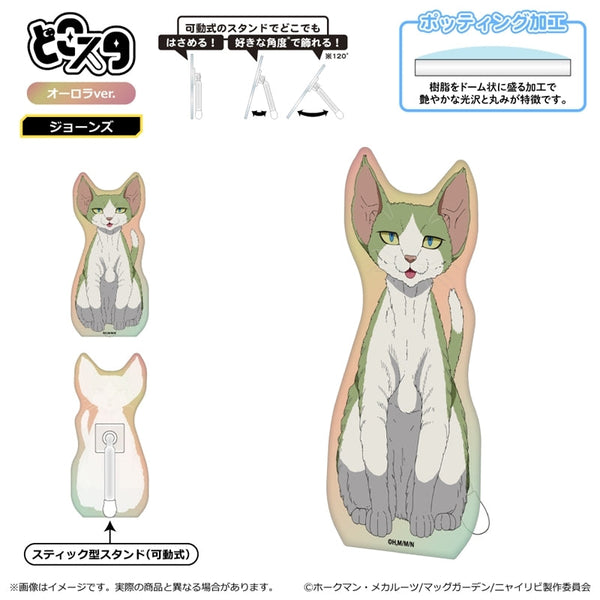 『ニャイト・オブ・ザ・リビングキャット』どこスタ(オーロラver.)/ジューンズ