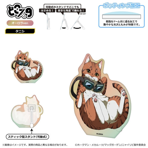 『ニャイト・オブ・ザ・リビングキャット』どこスタ(オーロラver.)/タニシ