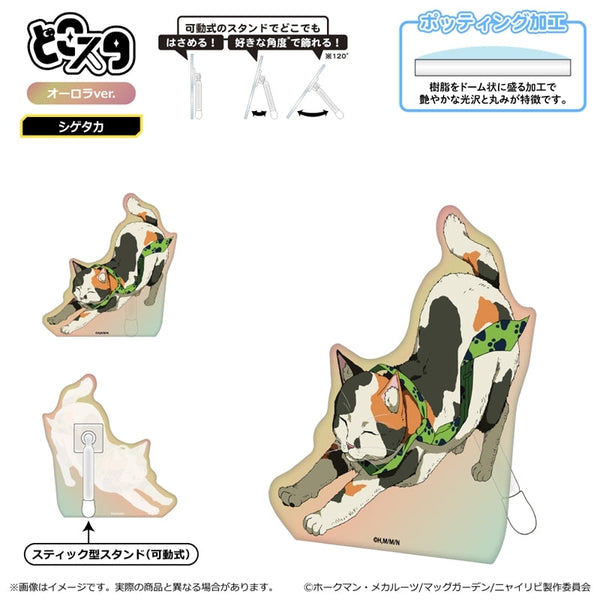 『ニャイト・オブ・ザ・リビングキャット』どこスタ(オーロラver.)/シゲタカ