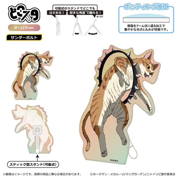 『ニャイト・オブ・ザ・リビングキャット』どこスタ(オーロラver.)/サンダーボルト