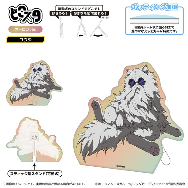 『ニャイト・オブ・ザ・リビングキャット』どこスタ(オーロラver.)/コウジ