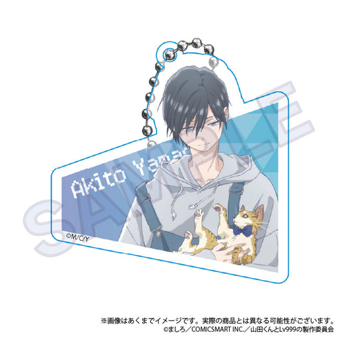 『山田くんとLv999の恋をする』トレーディングアクリルキーホルダー ニャンコーデVer.【BOX】