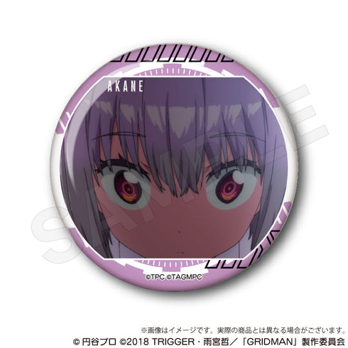『SSSS.GRIDMAN』トレーディング場面写缶バッジ【BOX】【202507再販】