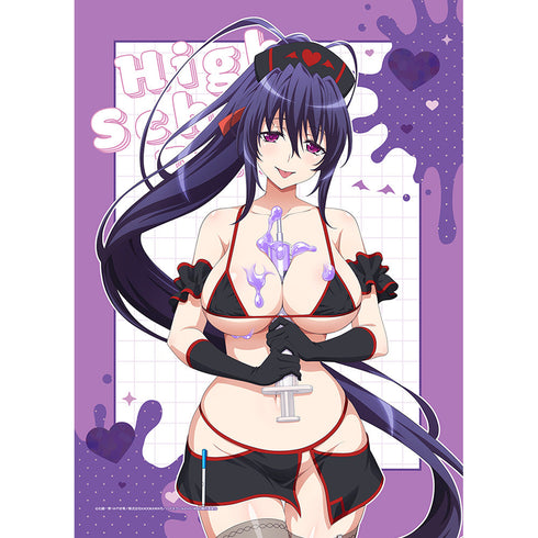 『ハイスクールD×D HERO』描き下ろしB2タペストリー 姫島朱乃/黒ナース Wスエード