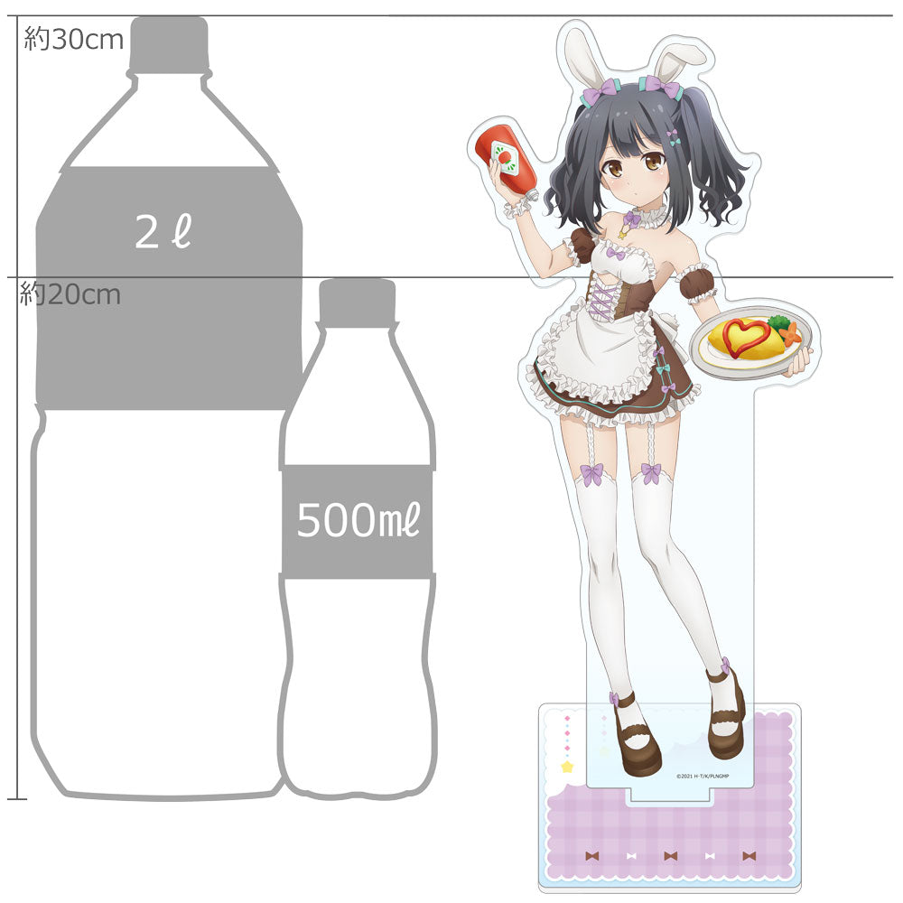 Fate/kaleid liner プリズマ☆イリヤ Licht 名前の無い少女 Fate/kaleid liner プリズマ☆イリヤ Licht 名前の無い少女