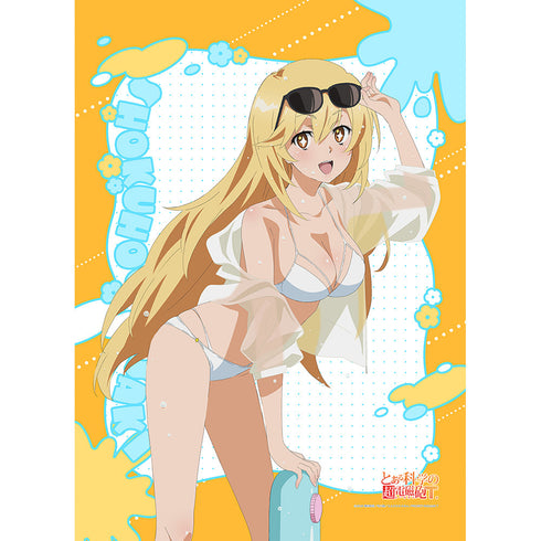 『とある科学の超電磁砲T』描き下ろしB2タペストリー(食蜂操祈/水遊び)Wスエード