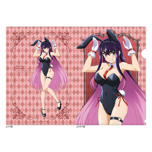 『戦隊レッド 異世界で冒険者になる』アニメ描き下ろしクリアファイル (イドラ・アーヴォルン/バニー)