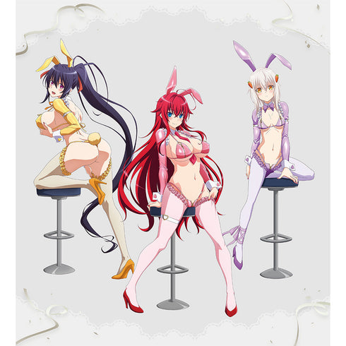 『ハイスクールD×D HERO』描き下ろし 複製原画(逆バニー(カラー))