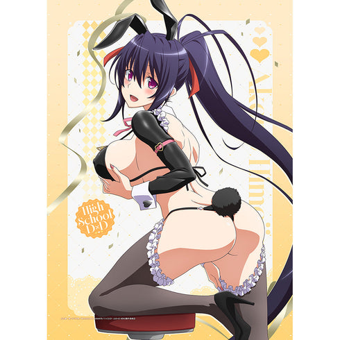 『ハイスクールD×D HERO』描き下ろし B2タペストリー(姫島朱乃/逆バニー(黒))Wスエード