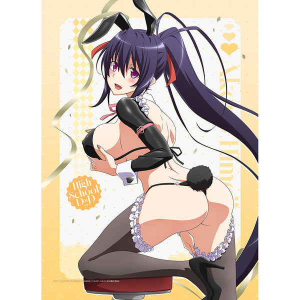 『ハイスクールD×D HERO』描き下ろし B2タペストリー(姫島朱乃/逆バニー(黒))Wスエード
