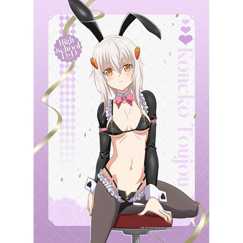 『ハイスクールD×D HERO』描き下ろし B2タペストリー(塔城小猫/逆バニー(黒))Wスエード