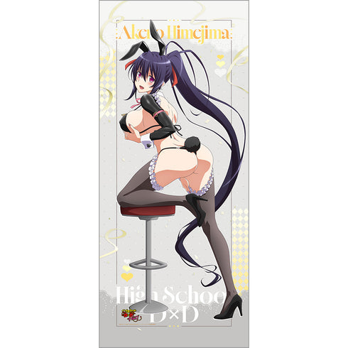 『ハイスクールD×D HERO』描き下ろし 特大タペストリー(姫島朱乃/逆バニー(黒))