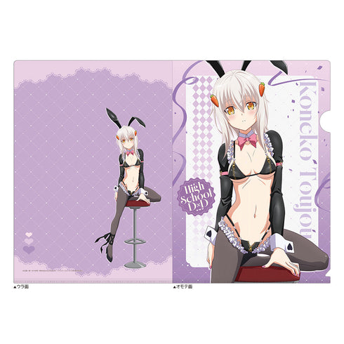 『ハイスクールD×D HERO』描き下ろし クリアファイル(塔城小猫/逆バニー(黒))