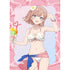 Pole Princess! newly drawn B2 tapestry (Hinano Hoshikita / swimsuit)W suede