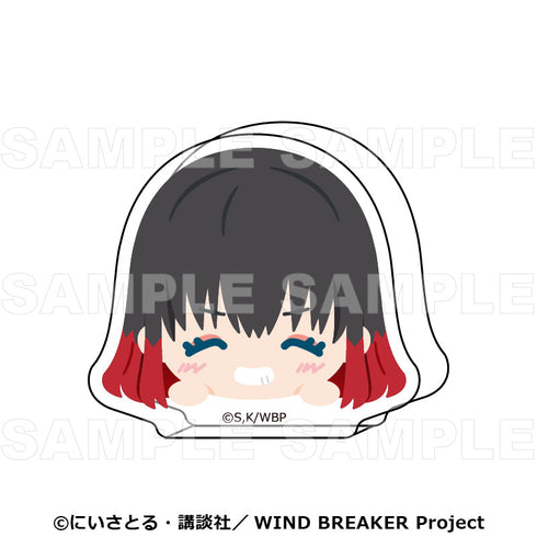『WIND BREAKER』ちょこっテ! トレーディングアクリルブロック【BOX】